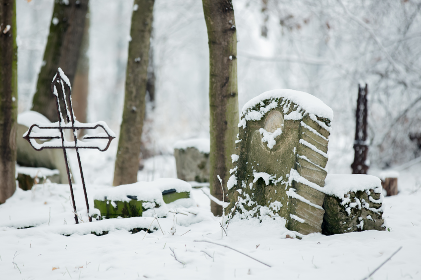 Cooperation with cemetery administrators